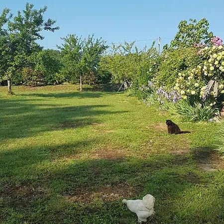 Bed & Breakfast Chariaud, Near Aubeterre Sur Dronne *