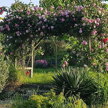 Chariaud, Near Aubeterre Sur Dronne