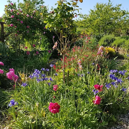 Chariaud, Near Aubeterre Sur Dronne Alojamento de Acomodação e Pequeno-almoço *