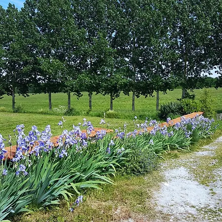 Alojamento de Acomodação e Pequeno-almoço Chariaud, Near Aubeterre Sur Dronne *